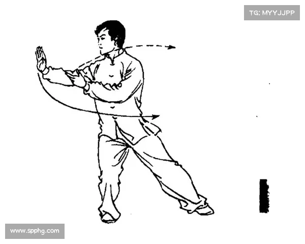 以太极拳云手动作被纳入运动康复指南推动传统武术在现代康复中的应用 以太极拳云手动作被纳入运动康复指南推动传统武术在现代康复中的应用